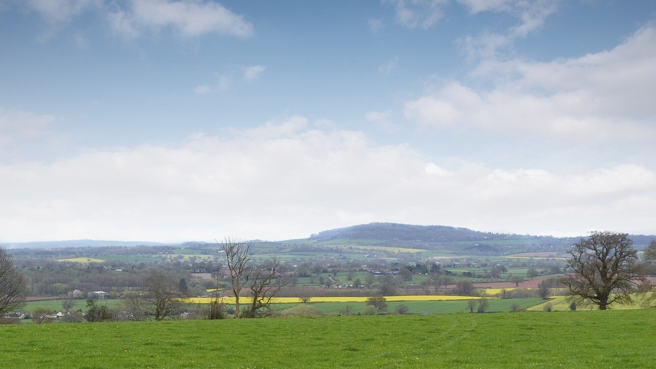 Photo of Others in Longtown