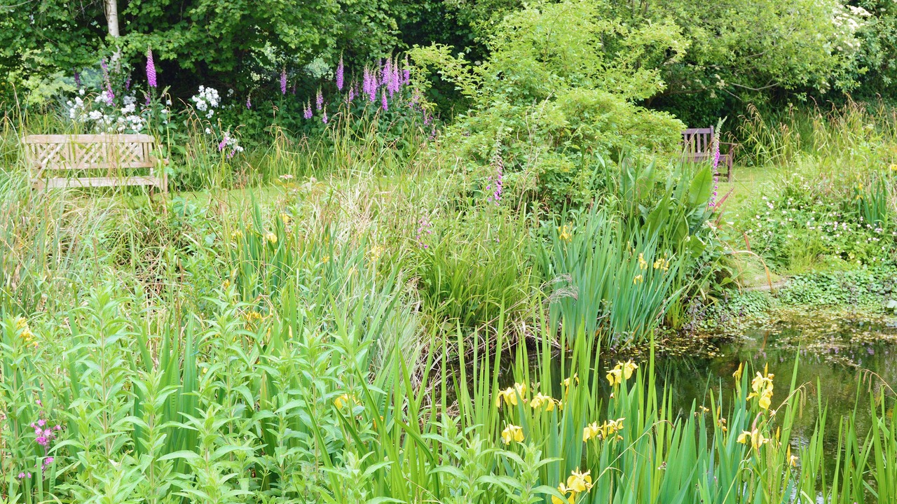 Photo of Outdoor in Lyme Regis