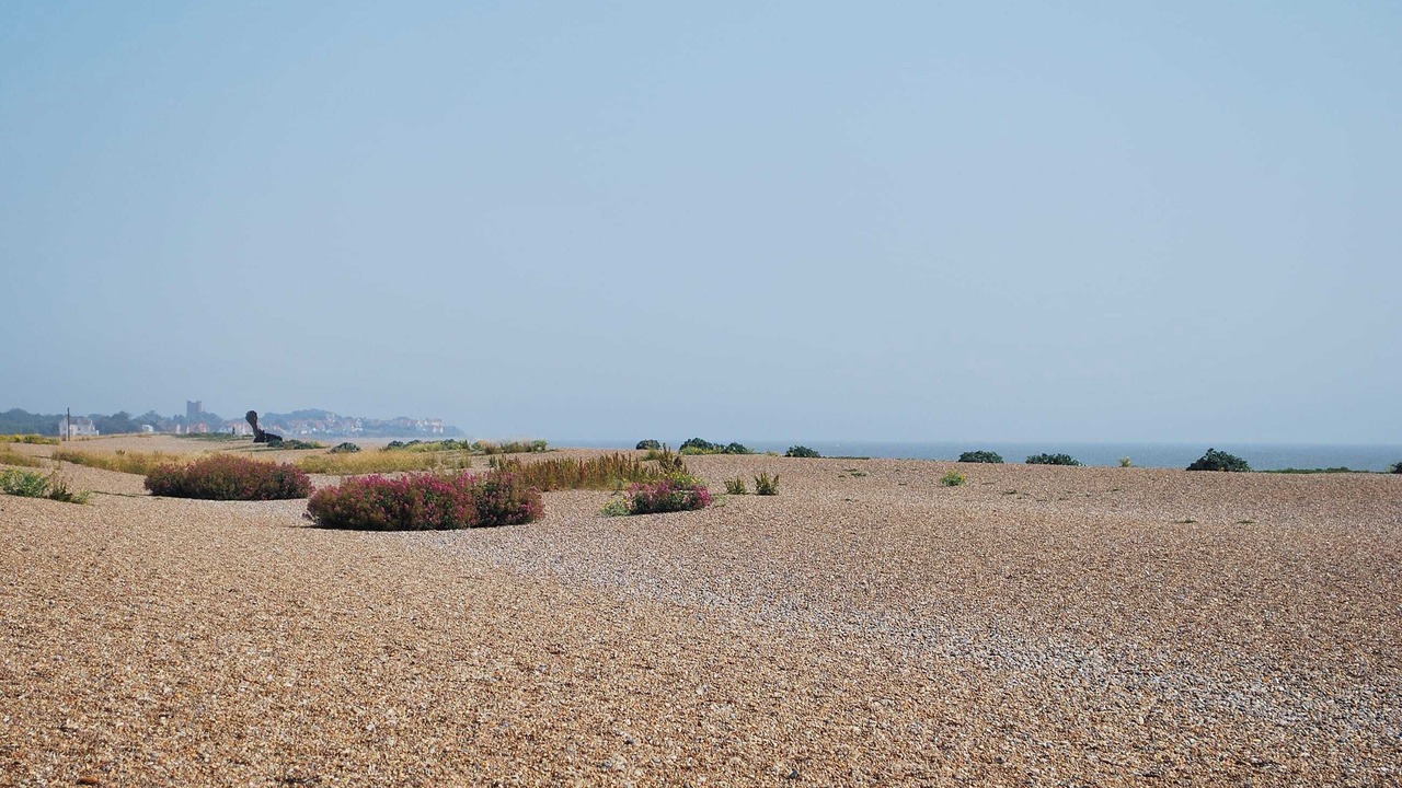 Photo of Others in Woodbridge