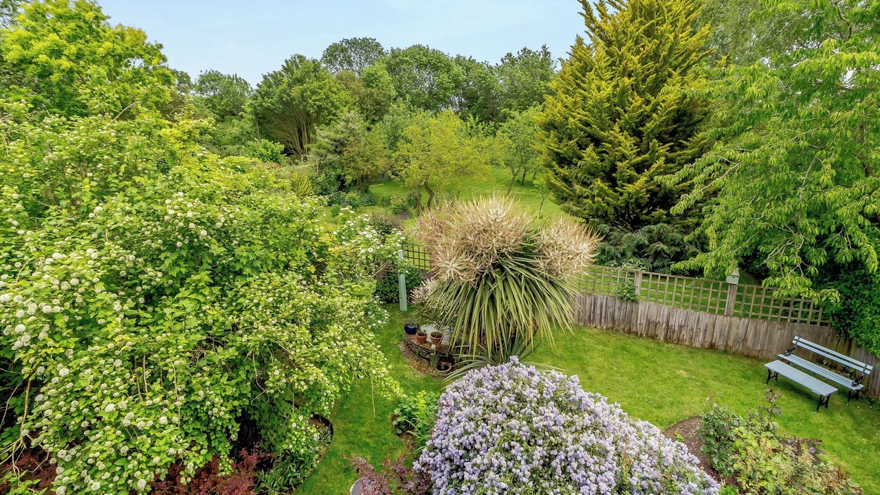 Photo of Outdoor in Woodbridge