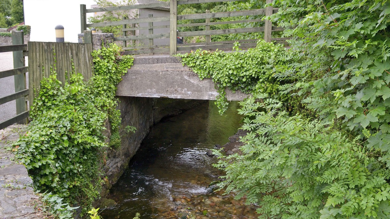 Photo of Others in Buckfastleigh