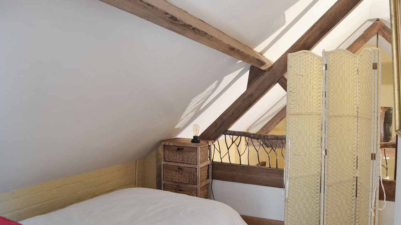 Photo of Others in New Forest District