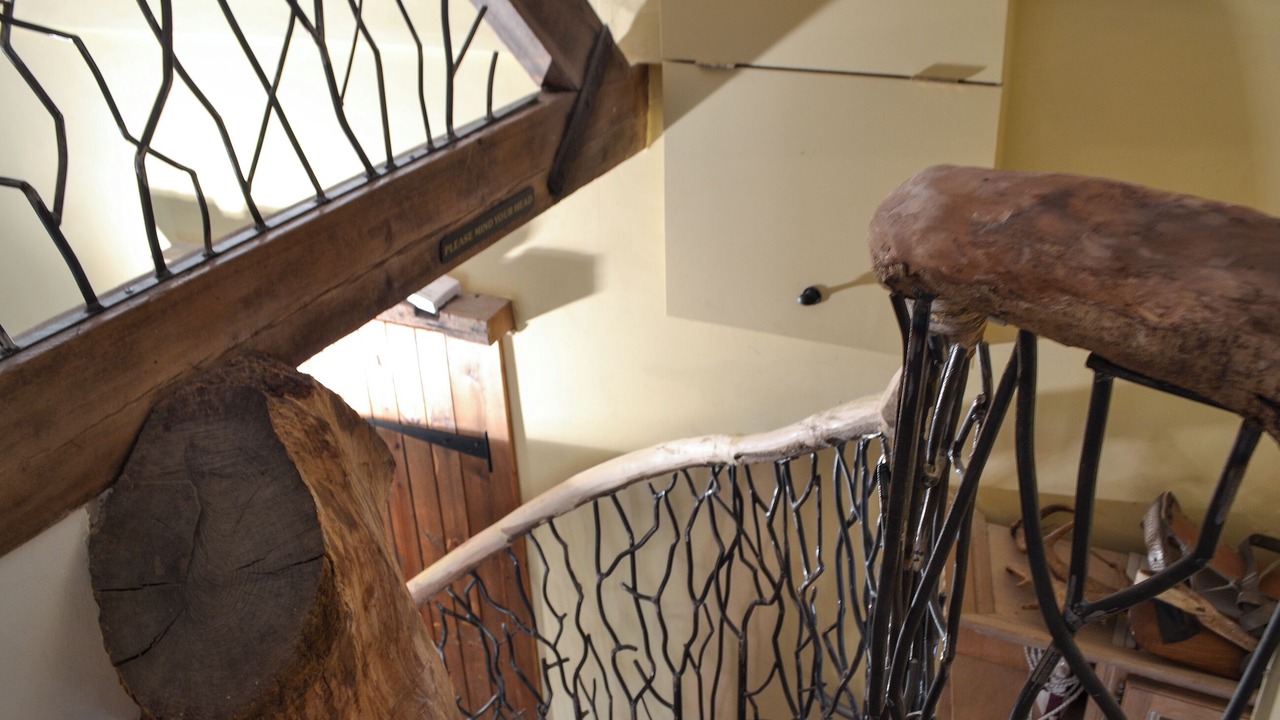 Photo of Others in New Forest District