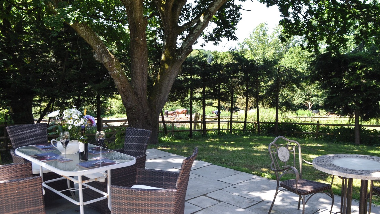 Photo of Others in New Forest District