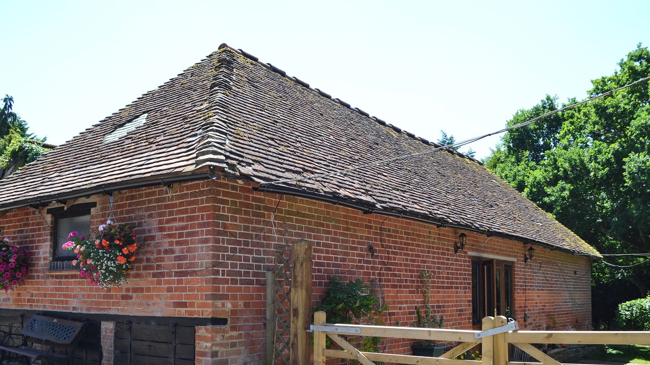 Photo of Others in New Forest District