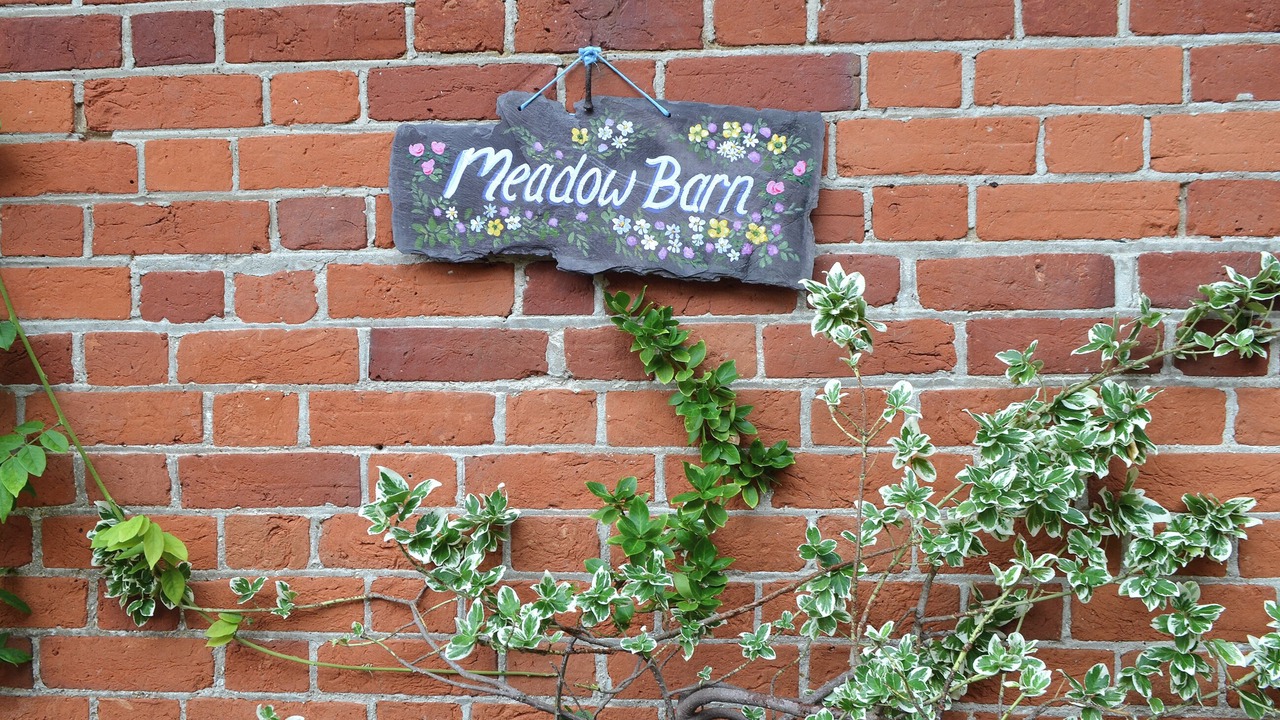 Photo of Outdoor in New Forest District