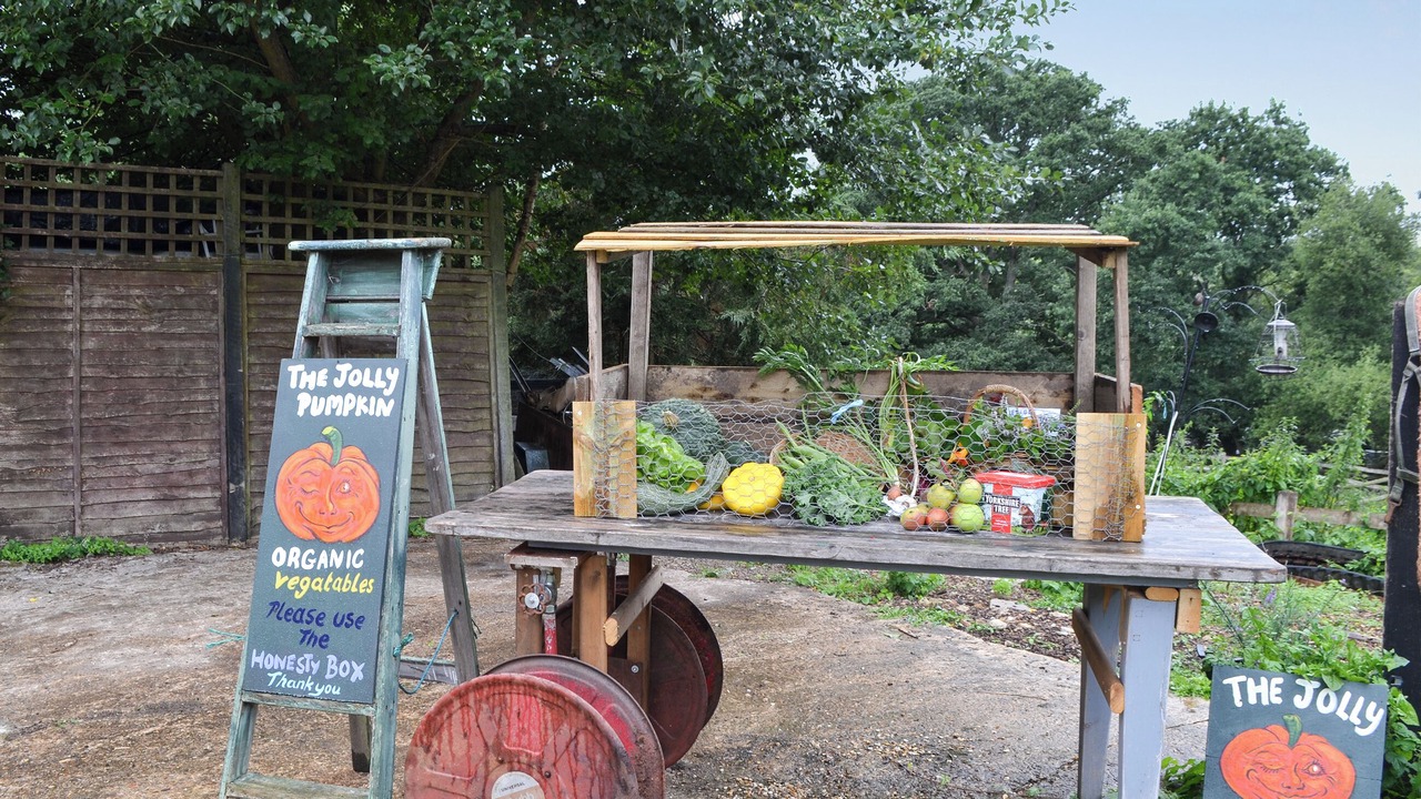 Photo of Others in New Forest District