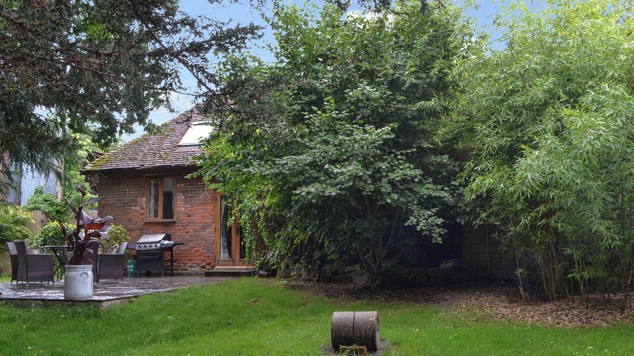 Photo of Outdoor in New Forest District