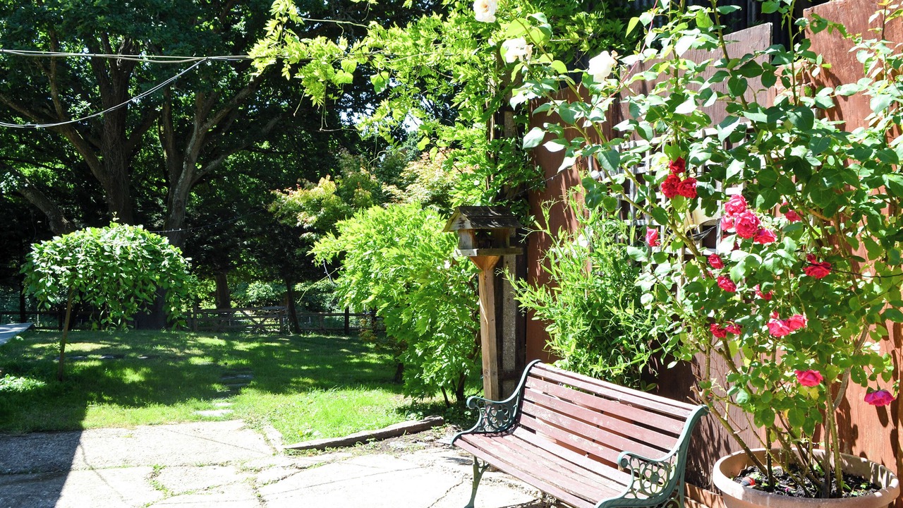 Photo of Outdoor in New Forest District