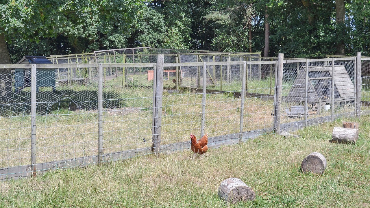 Photo of Others in Martin