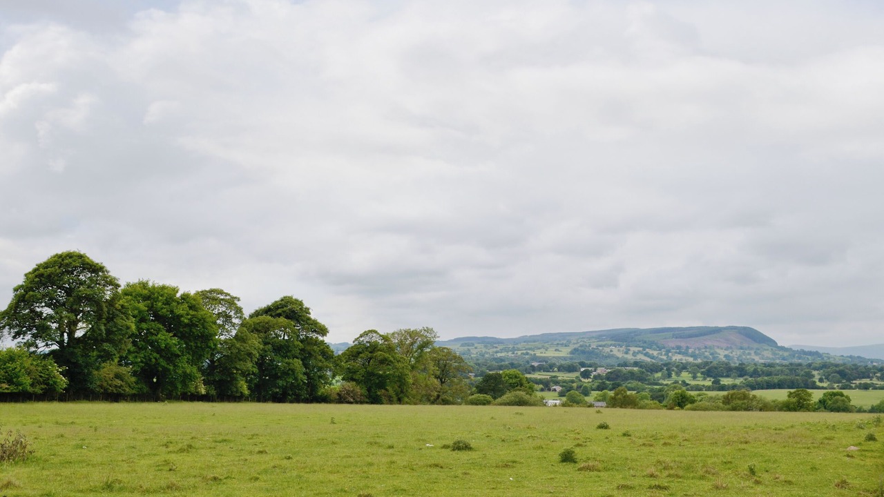 Photo of Others in Clitheroe