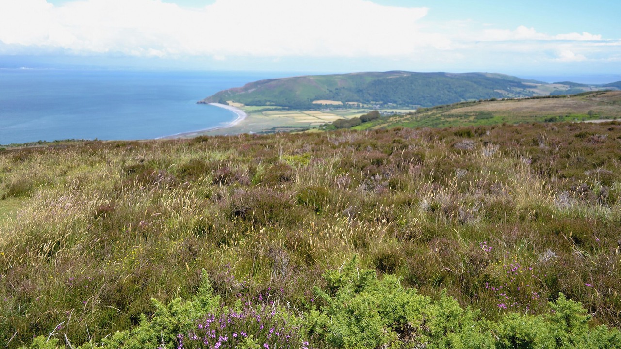 Photo of Others in Brayford