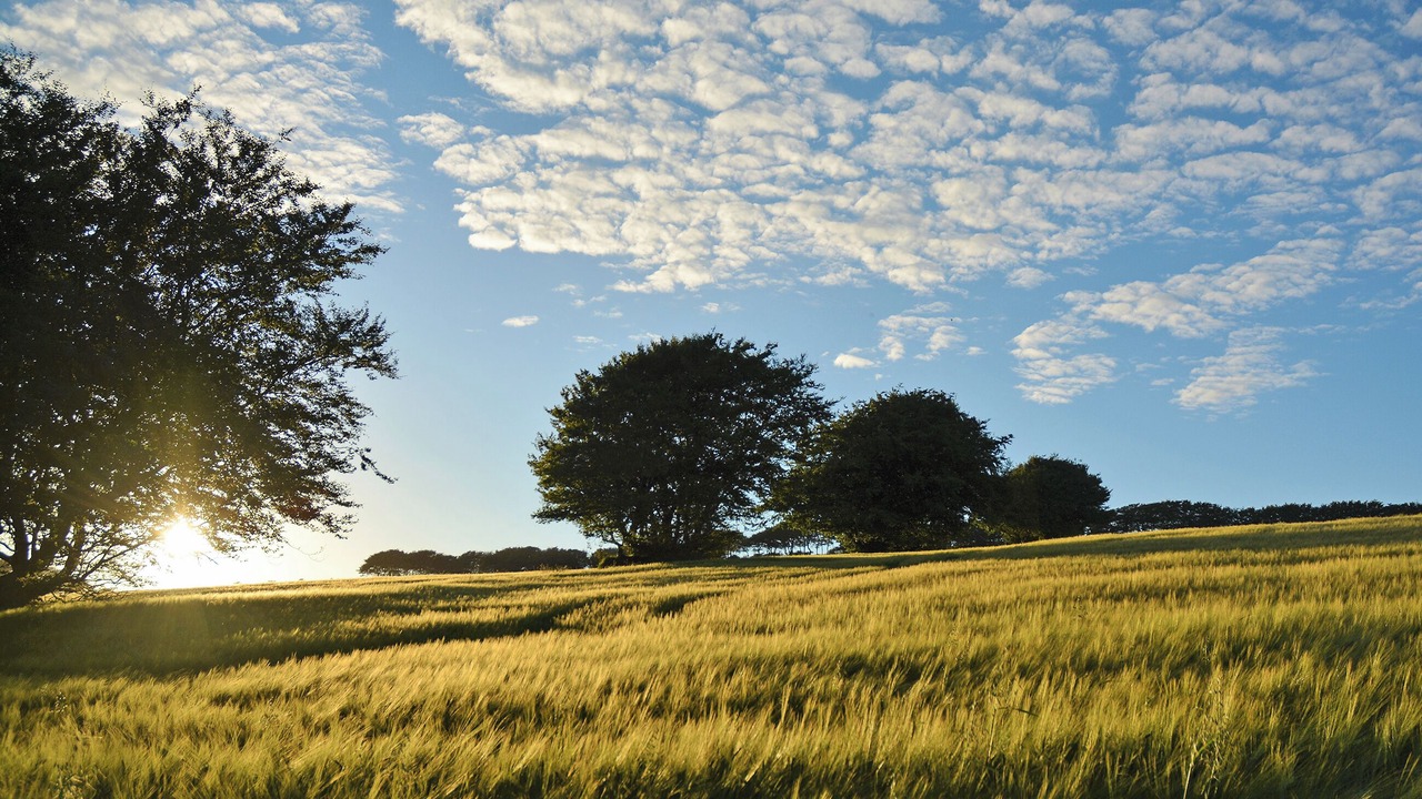 Photo of Others in Brayford