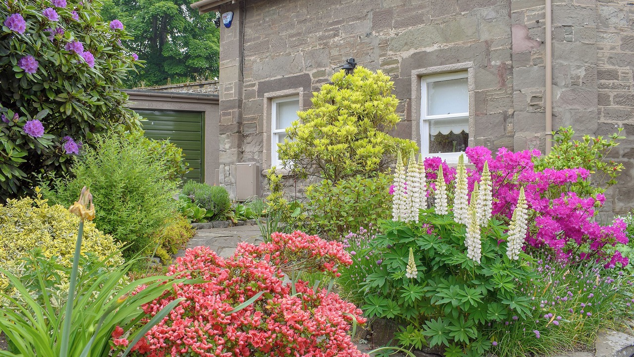 Photo of Outdoor in Perth