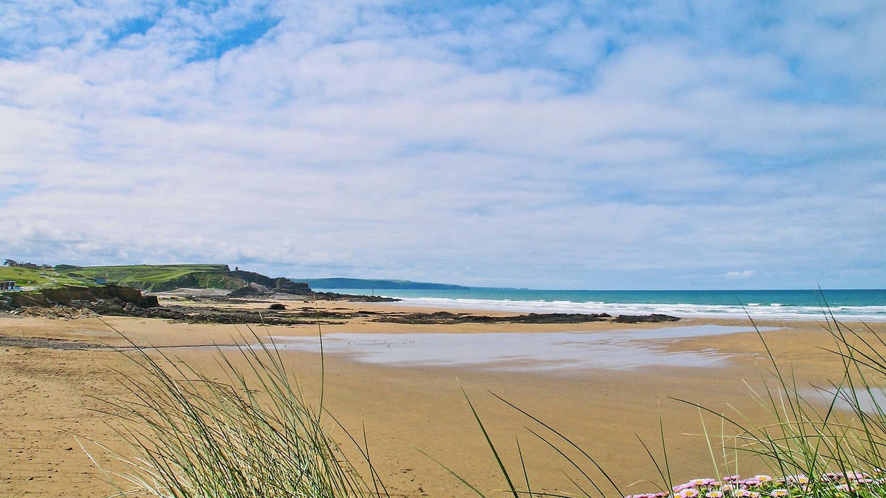 Photo of Others in Holsworthy