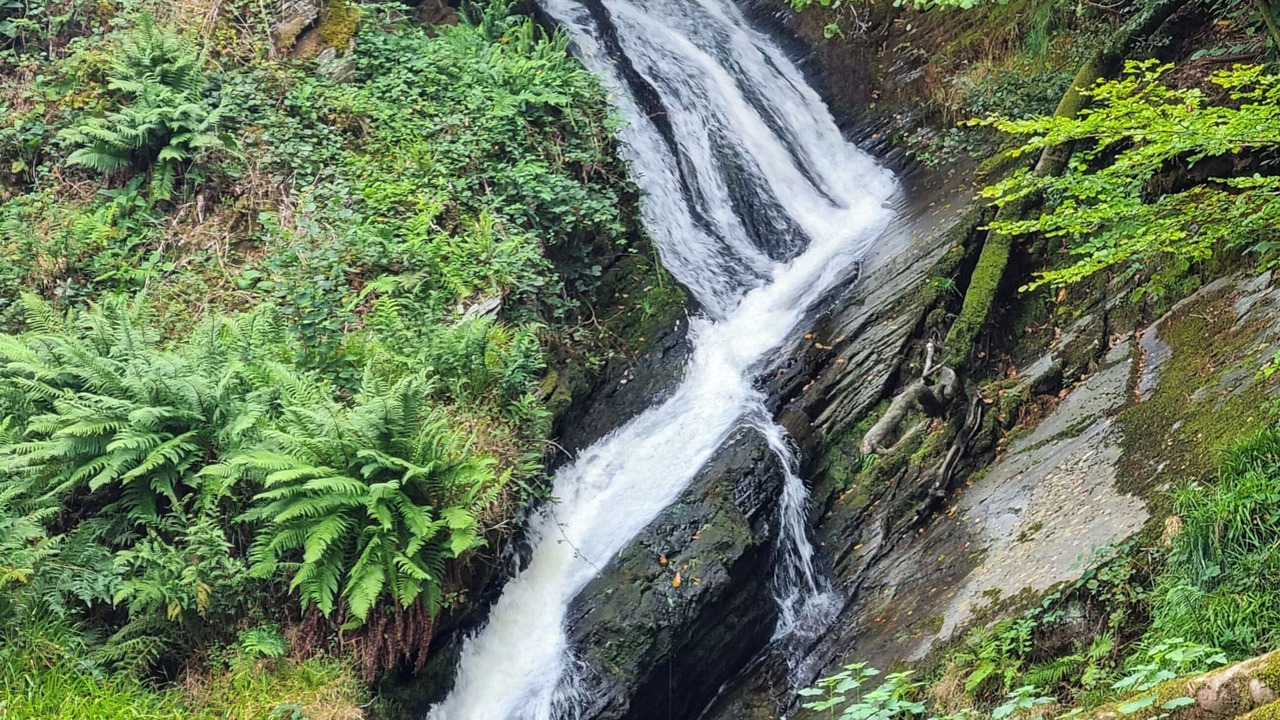 Photo of Others in Glandyfi