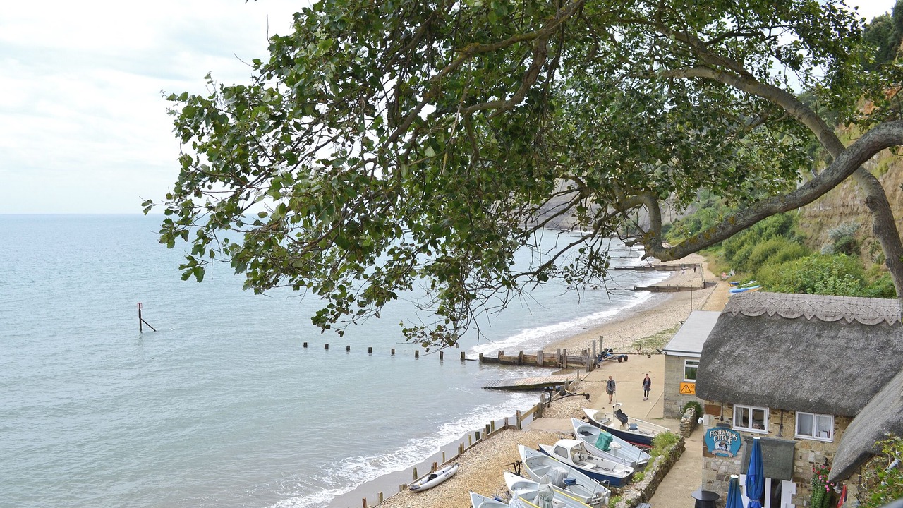 Photo of Others in Shanklin