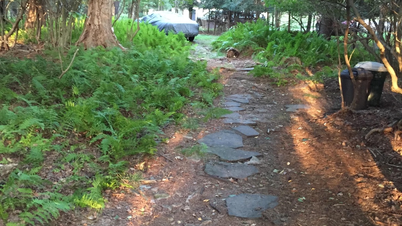 Photo of Others in Smallwood