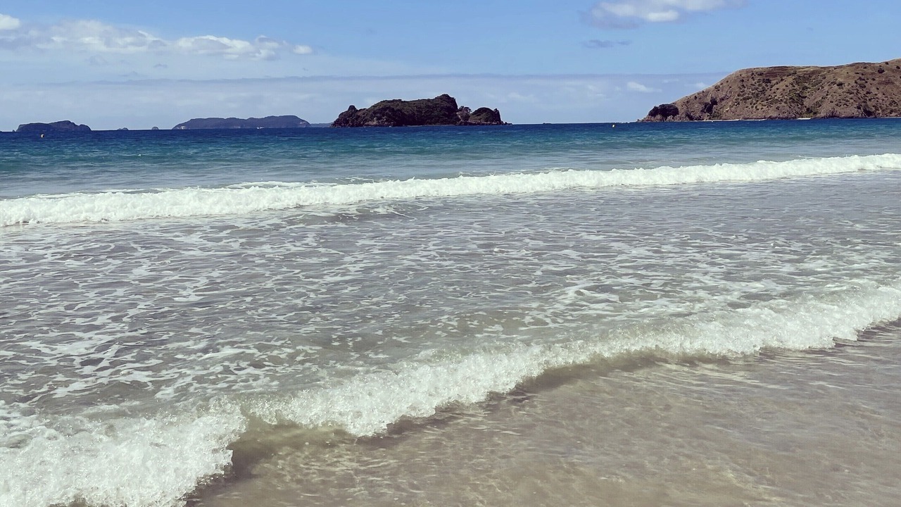 Photo of Others in Opito Bay