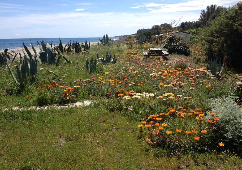 Photo of Outdoor in Biguglia