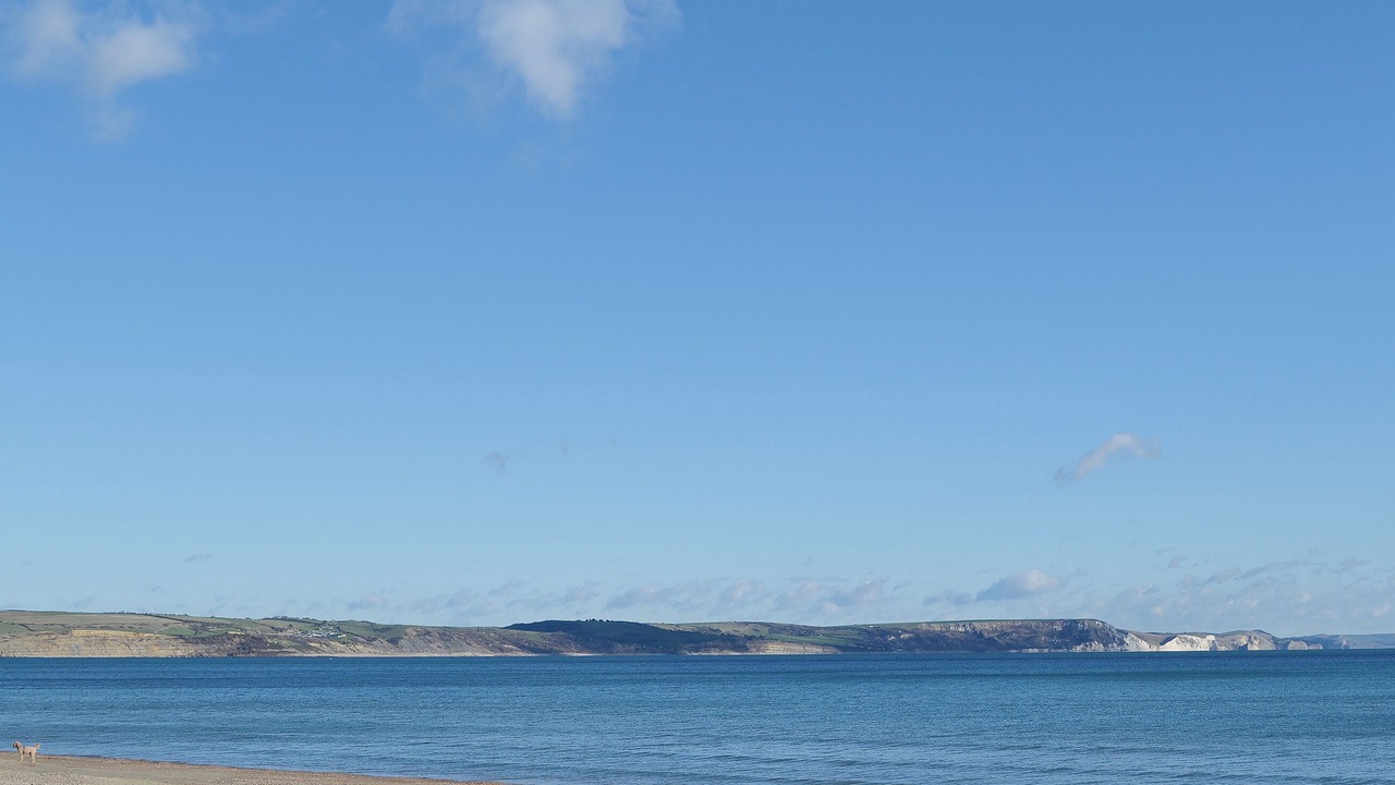 Photo of Others in Sturminster Newton