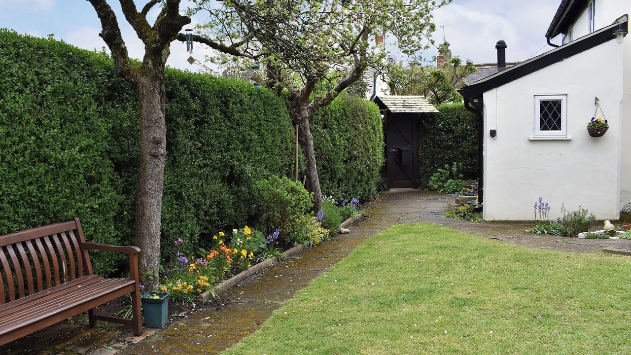 Photo of Outdoor in Bridport