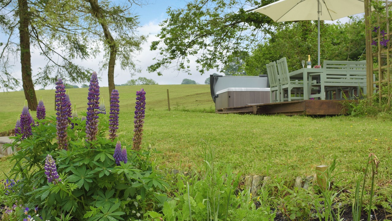 Photo of Outdoor in Narberth