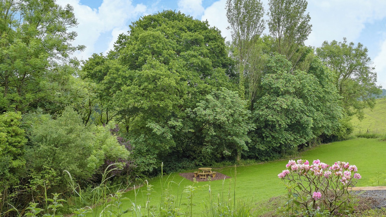 Photo of Outdoor in Narberth