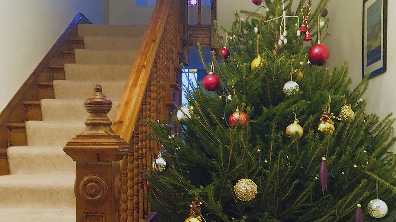 Photo of Others in Narberth