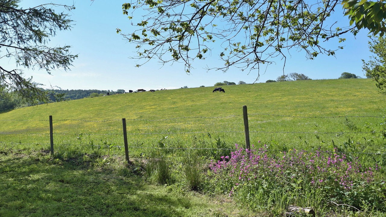 Photo of Others in Narberth