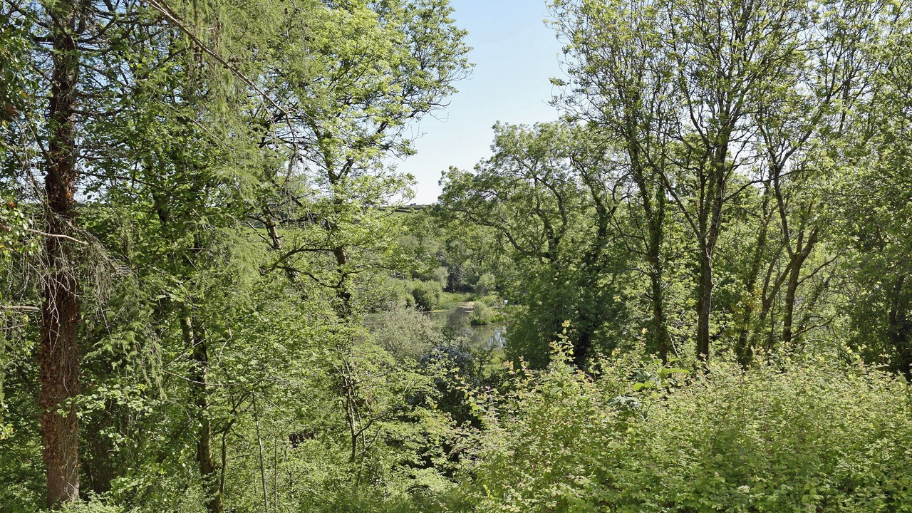 Photo of Outdoor in Narberth