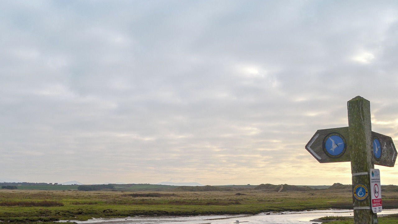 Photo of Others in Ty Croes