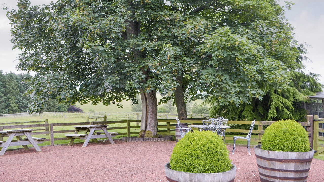 Photo of Outdoor in Hallington