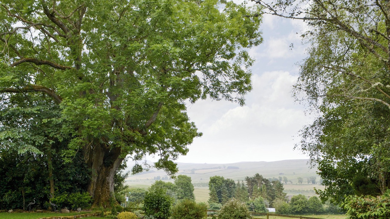 Photo of Outdoor in Hallington