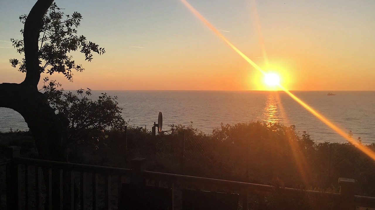 Photo of Others in Corton