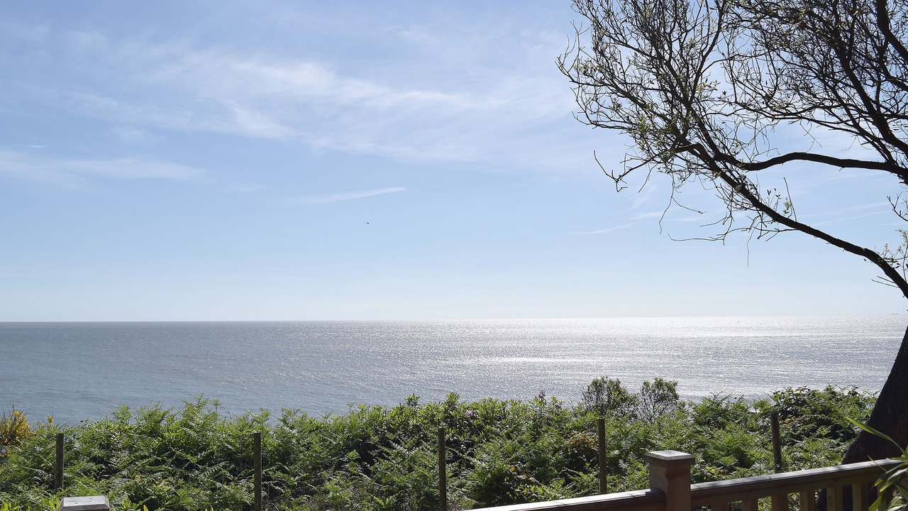 Photo of Others in Corton