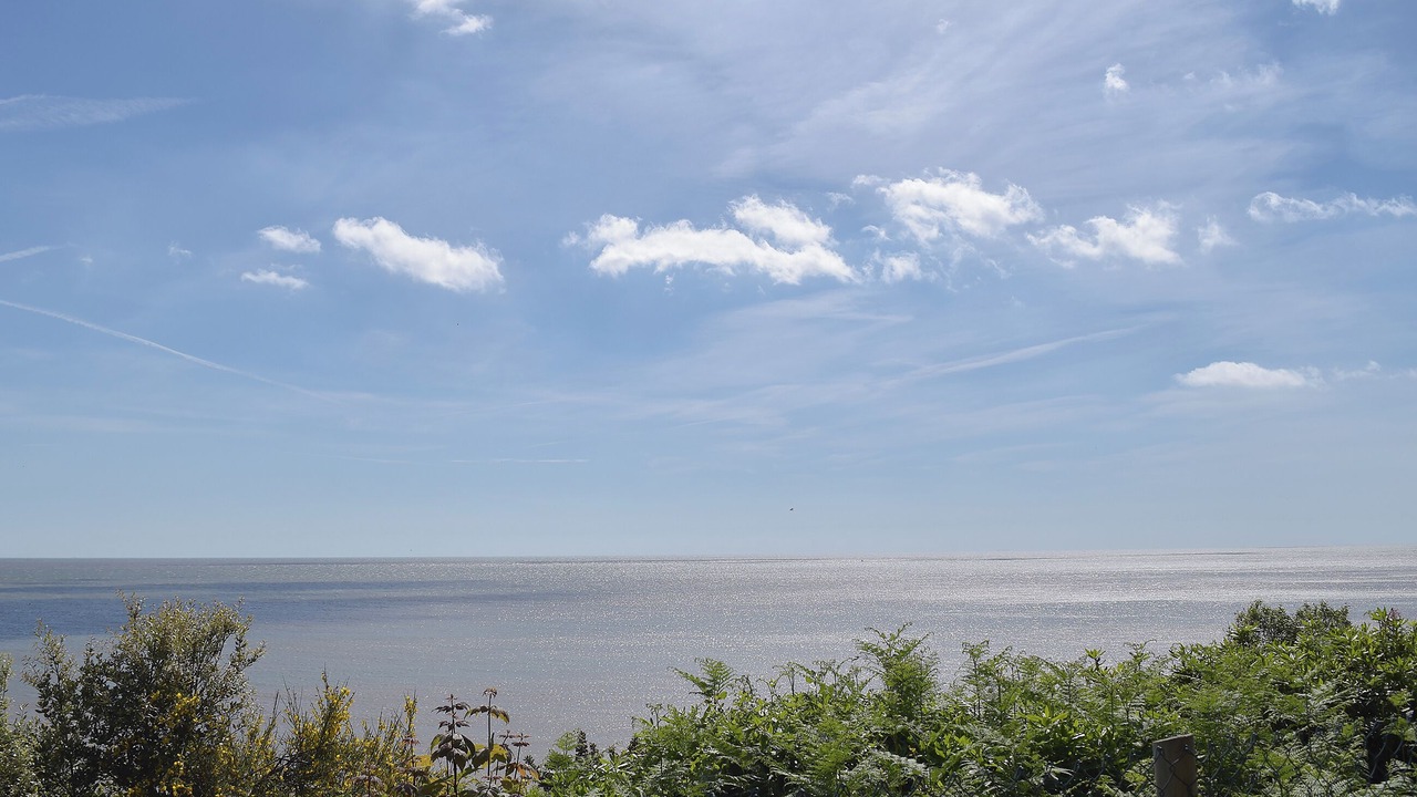 Photo of Others in Corton