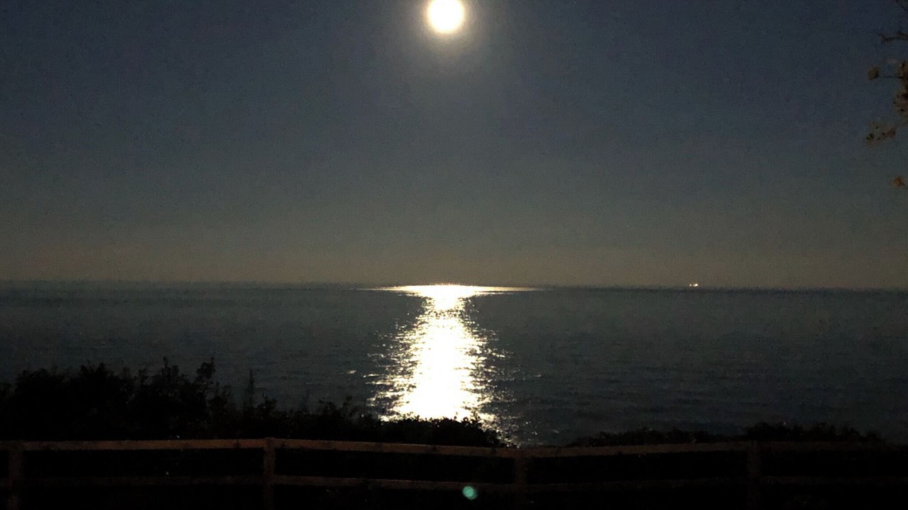 Photo of Others in Corton