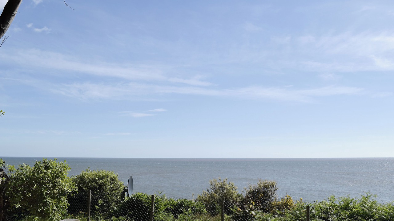 Photo of Others in Corton