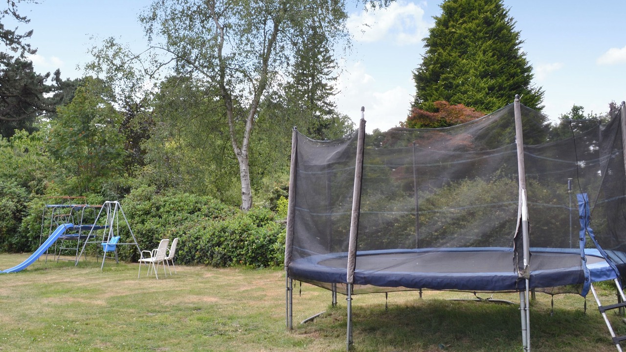 Photo of Others in New Forest District