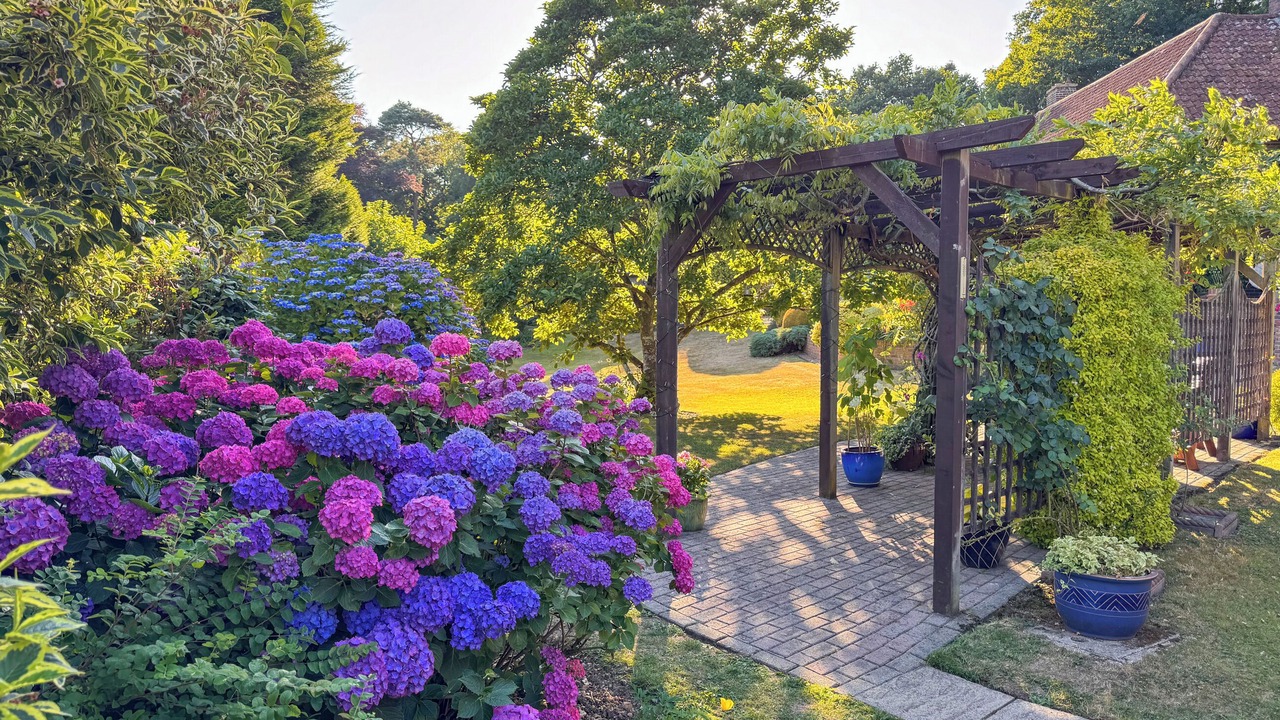 Photo of Others in New Forest District