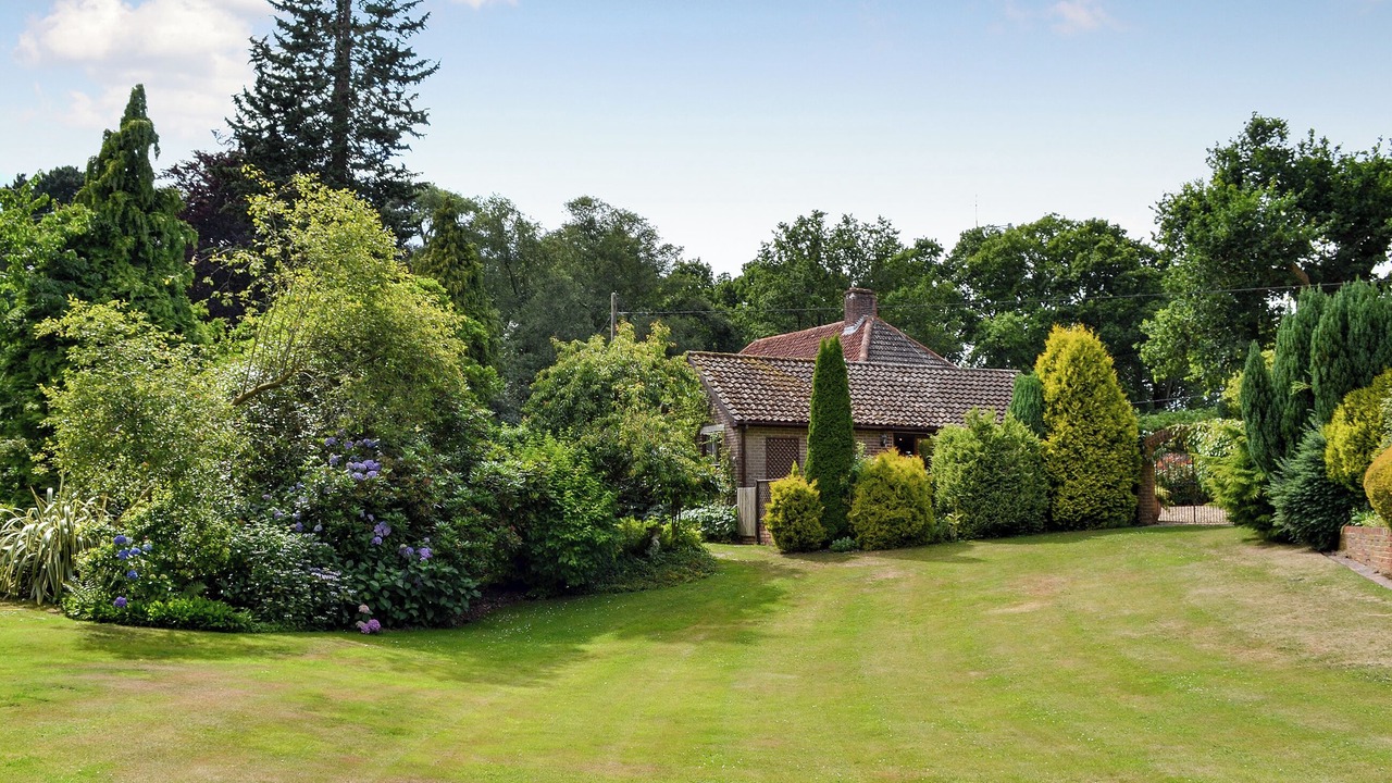 Photo of Others in New Forest District