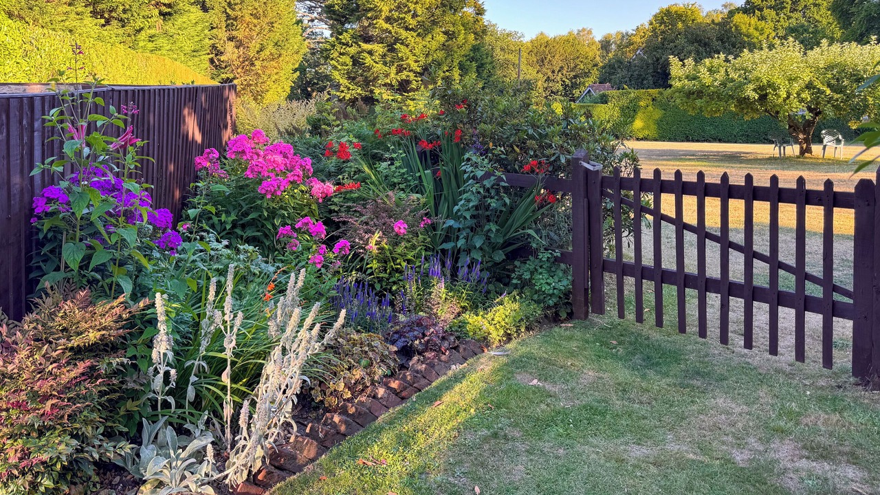 Photo of Others in New Forest District