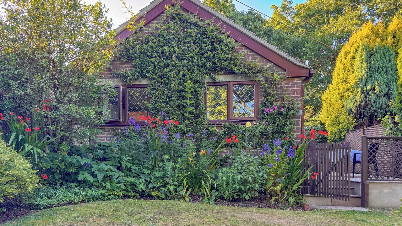 Photo of Others in New Forest District