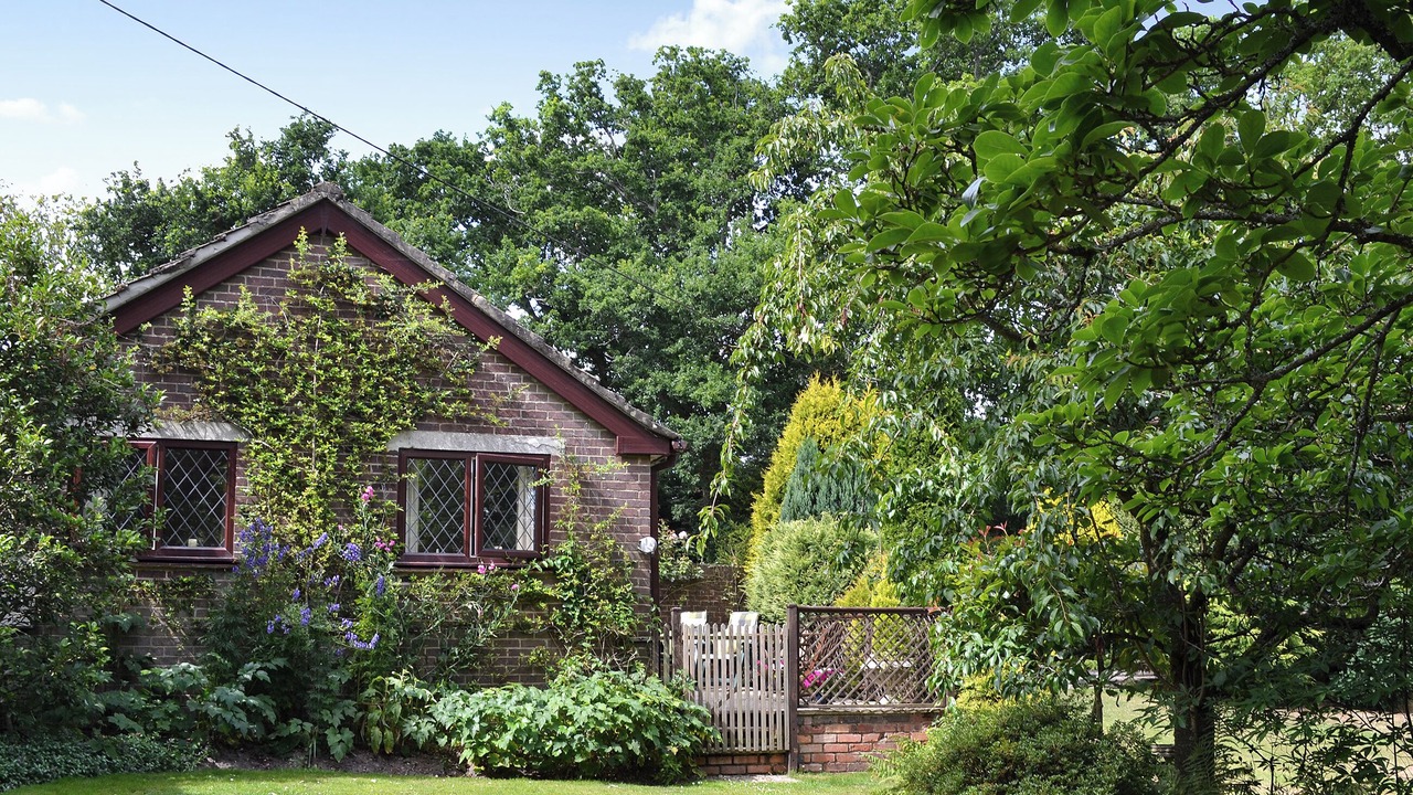 Photo of Others in New Forest District