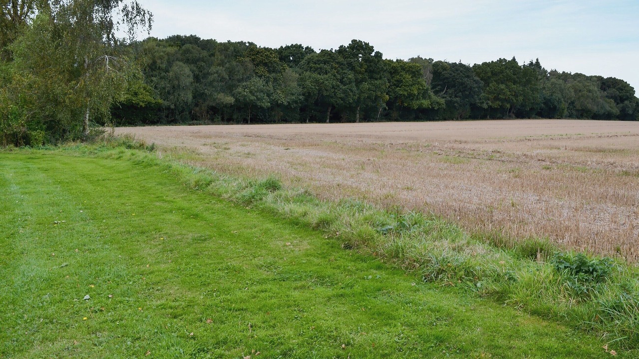 Photo of Others in Norwich