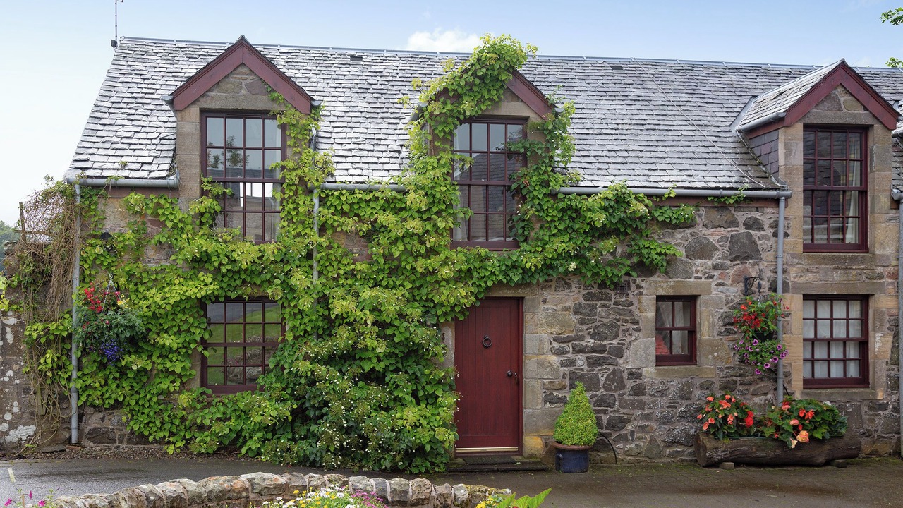 Photo of Others in Kinross