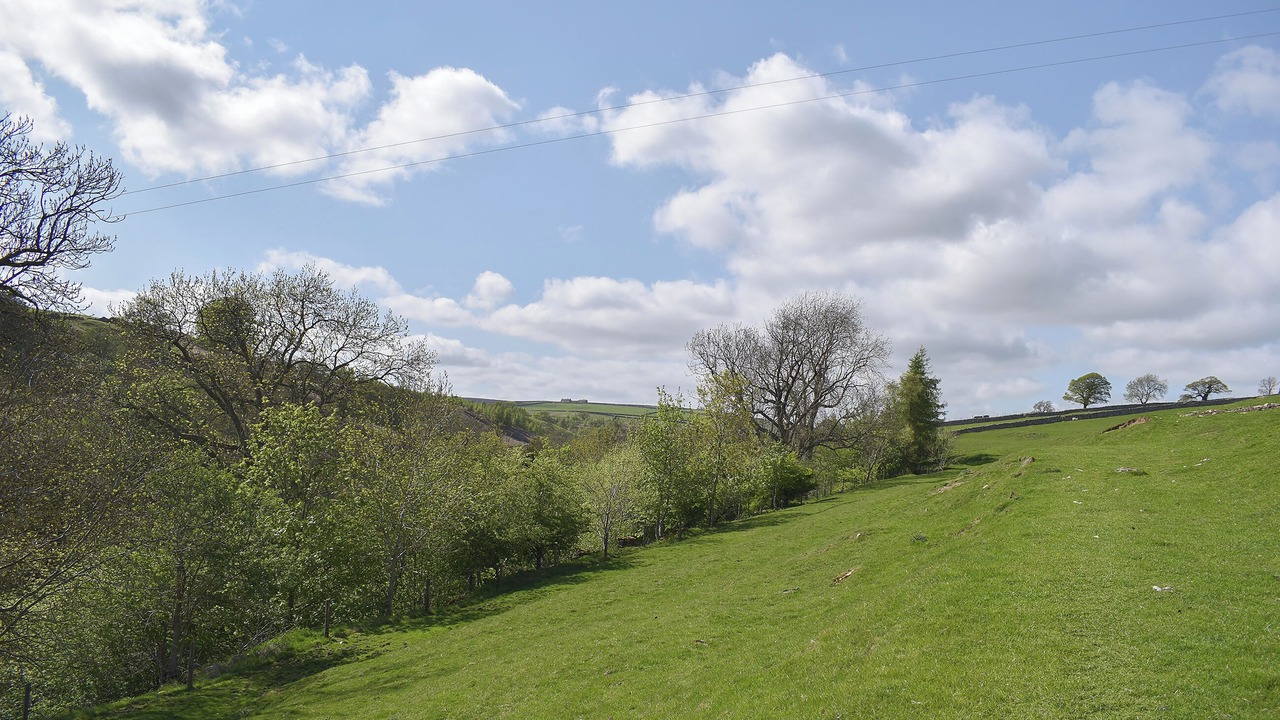 Photo of Others in Fremington