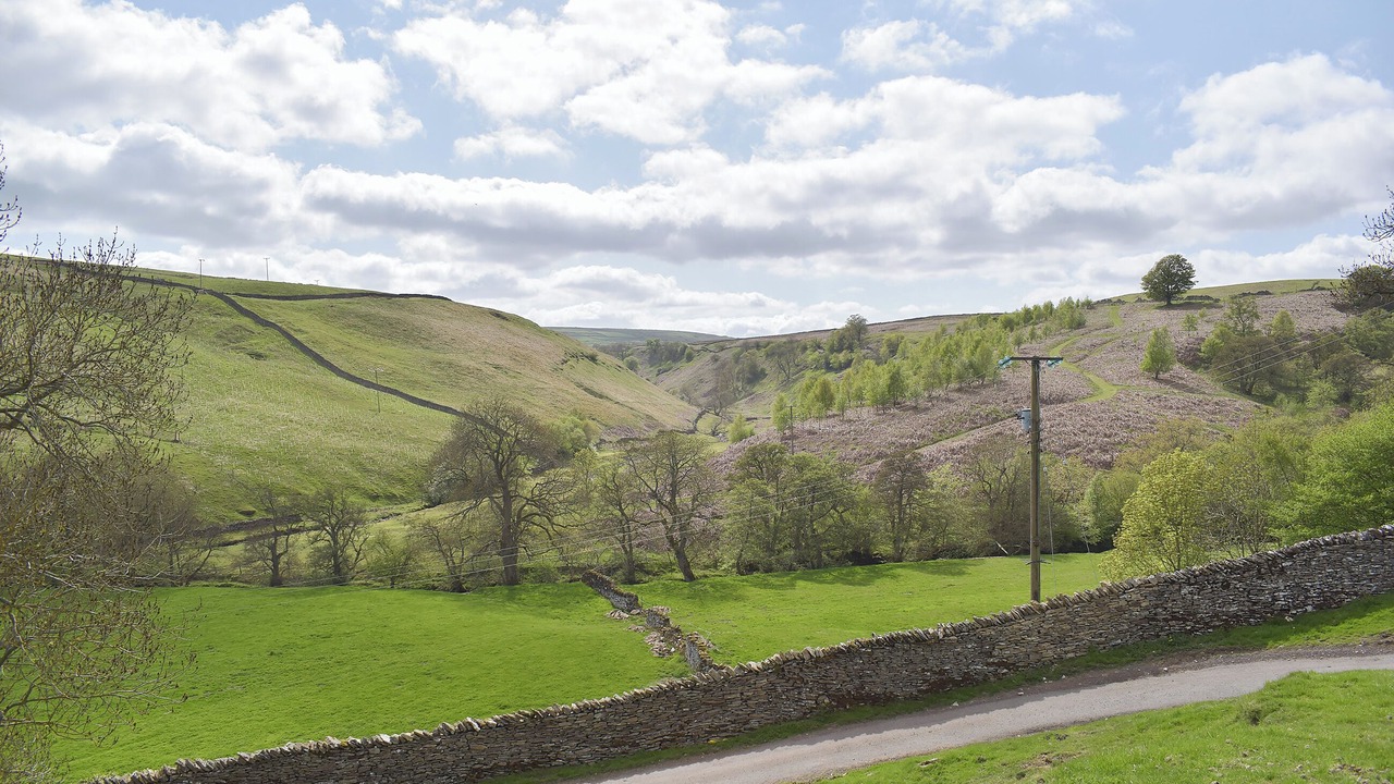 Photo of Others in Fremington