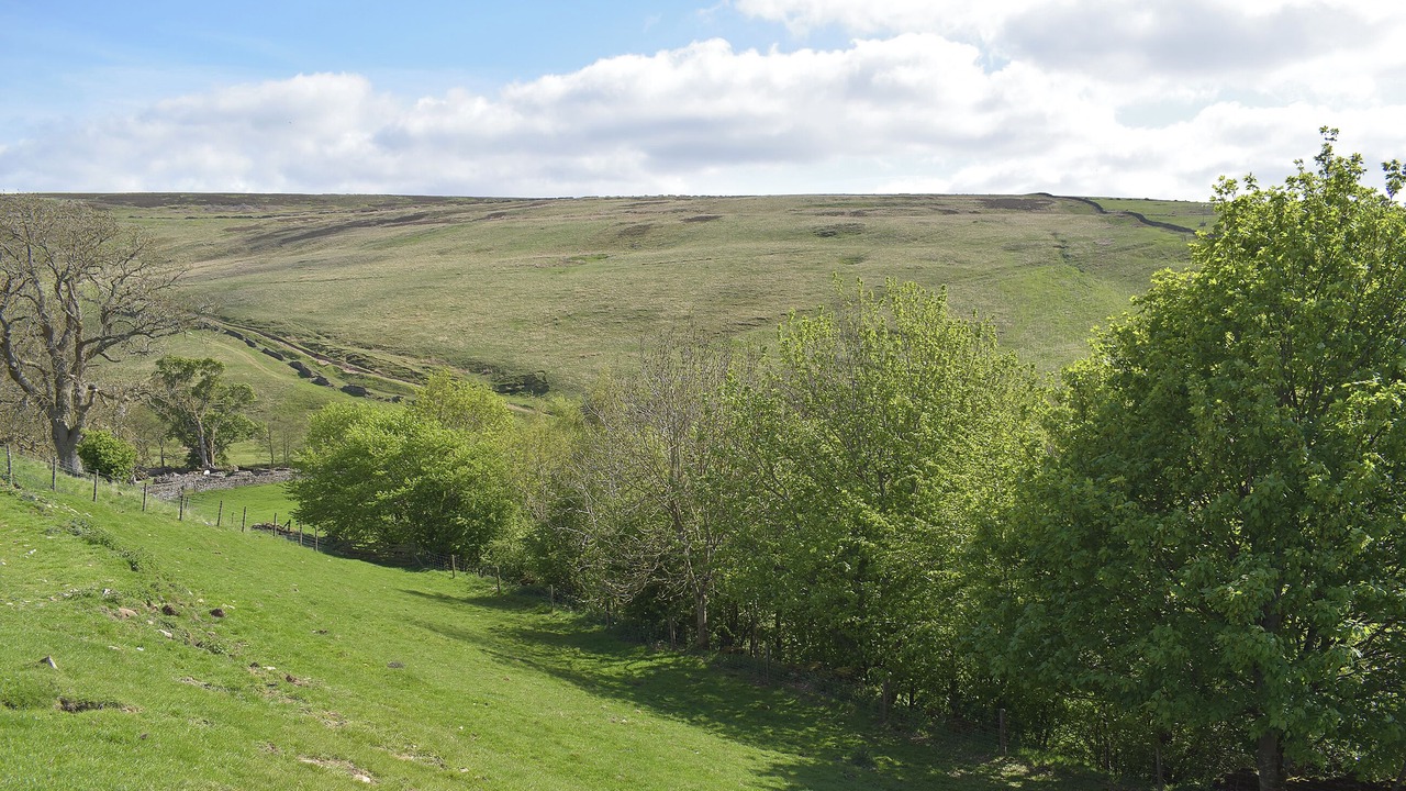 Photo of Others in Fremington